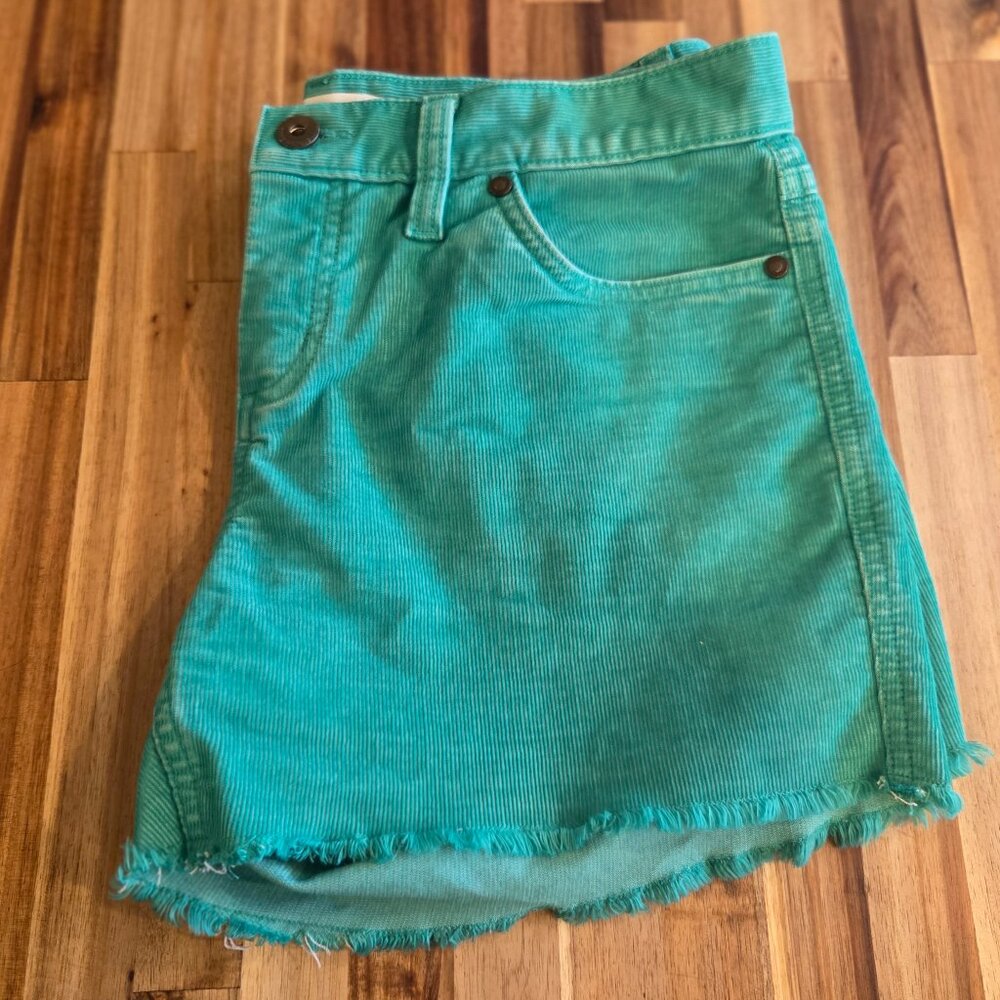 Carve Designs Oahu Shorts